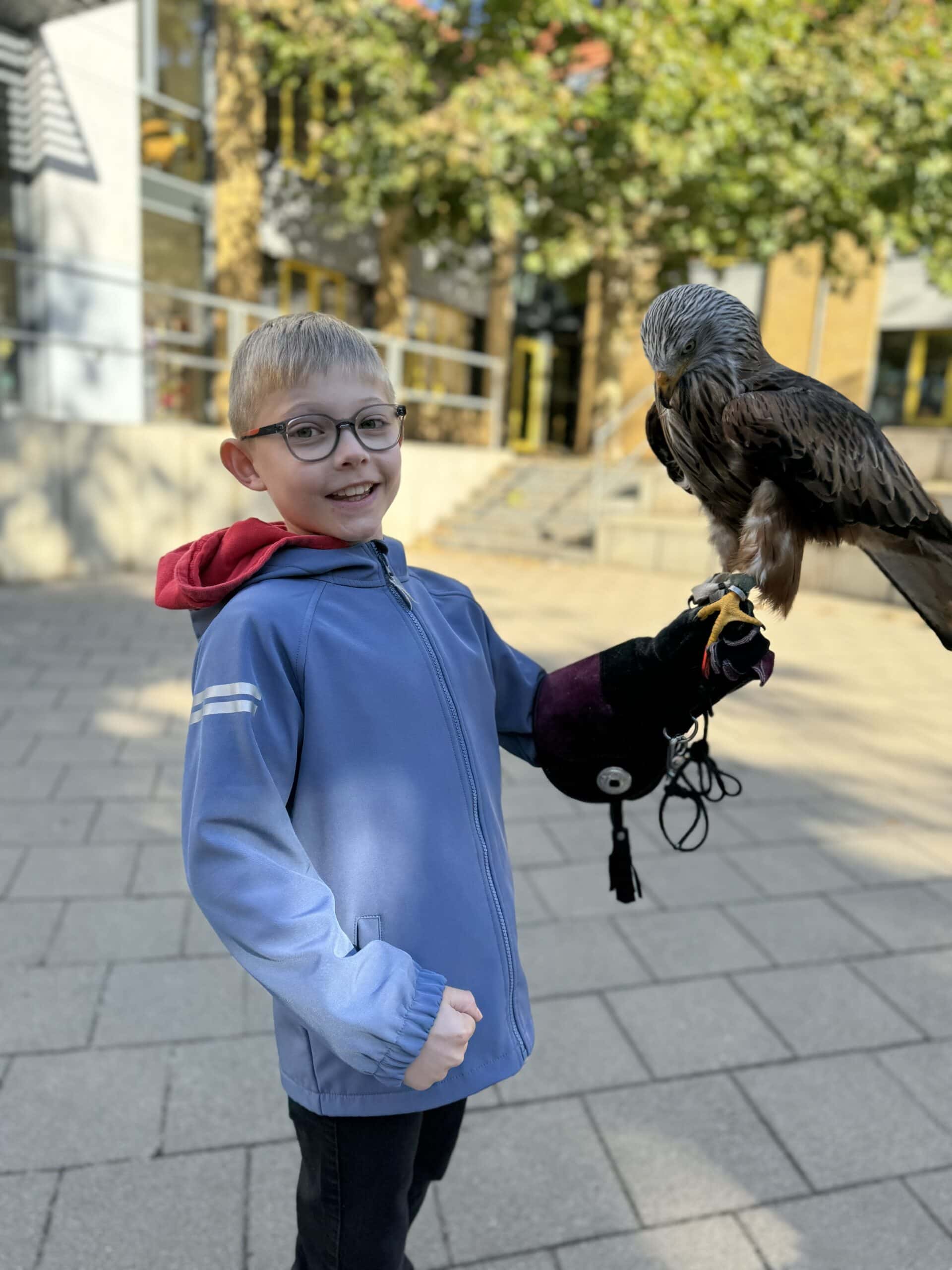 Junger Mensch lächelt, trägt blaue Jacke, hält Greifvogel auf Handschuh an sonnigem Tag.